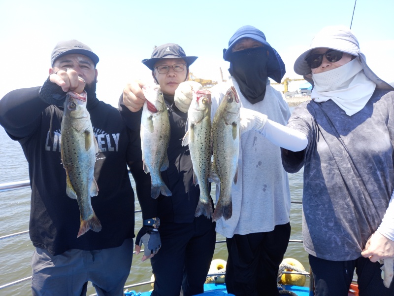 61fa13f2fb6d04b7af2012079240a9e3_1785061816_5757.jpg