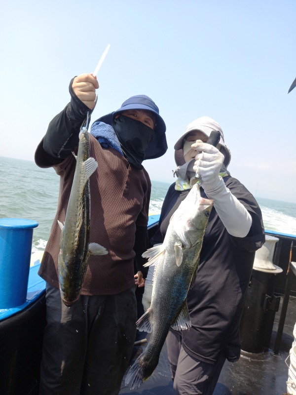 61fa13f2fb6d04b7af2012079240a9e3_1785577778_344.jpg
