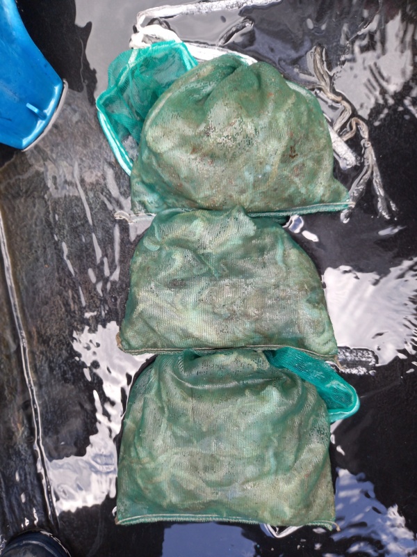 551d5908b6bd776c8c25262e68e1579b_1788606759_3517.jpg