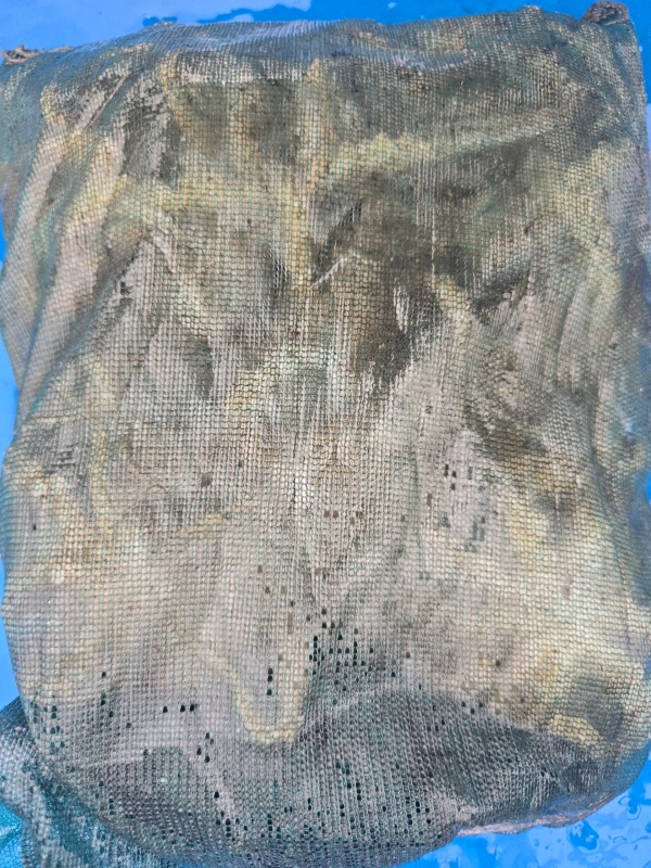 7c3736e20e0135d7b9fabd3f105b524a_1790422869_1541.jpeg
