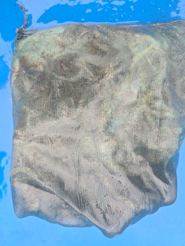 7c3736e20e0135d7b9fabd3f105b524a_1790422869_222.jpeg