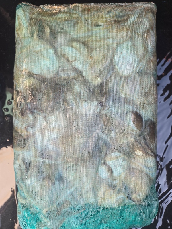 85ca051c92ad1781eb53d7ad42cedbba_1789817641_4704.jpeg