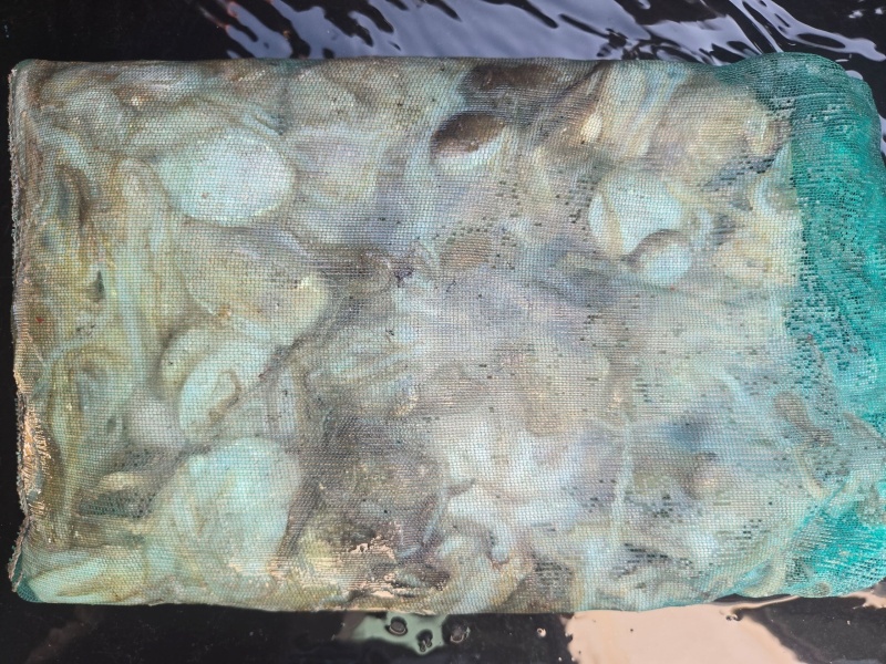 85ca051c92ad1781eb53d7ad42cedbba_1789817651_8572.jpeg