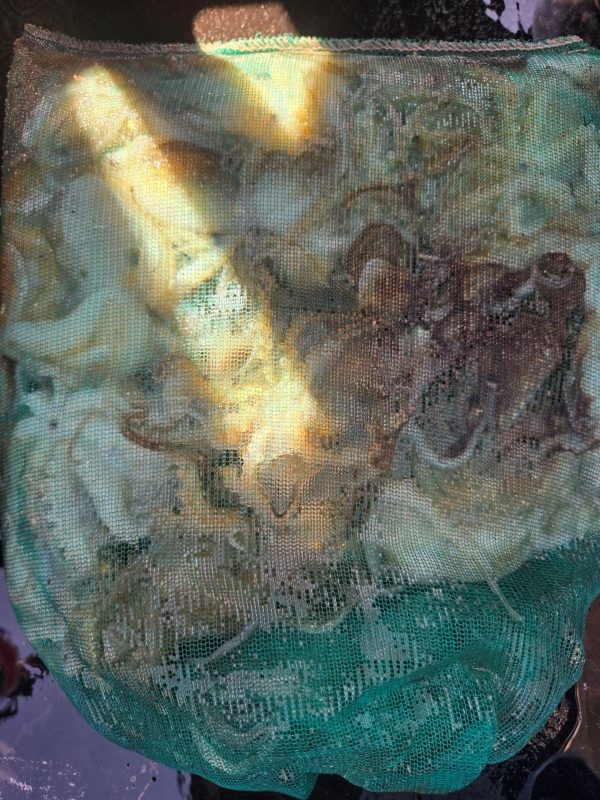 85ca051c92ad1781eb53d7ad42cedbba_1789817674_8376.jpeg