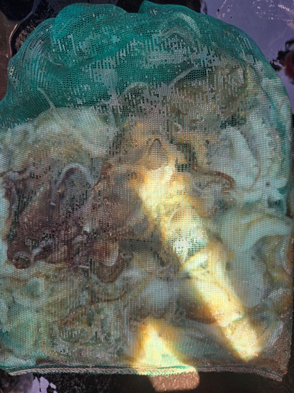 85ca051c92ad1781eb53d7ad42cedbba_1789817685_9172.jpeg