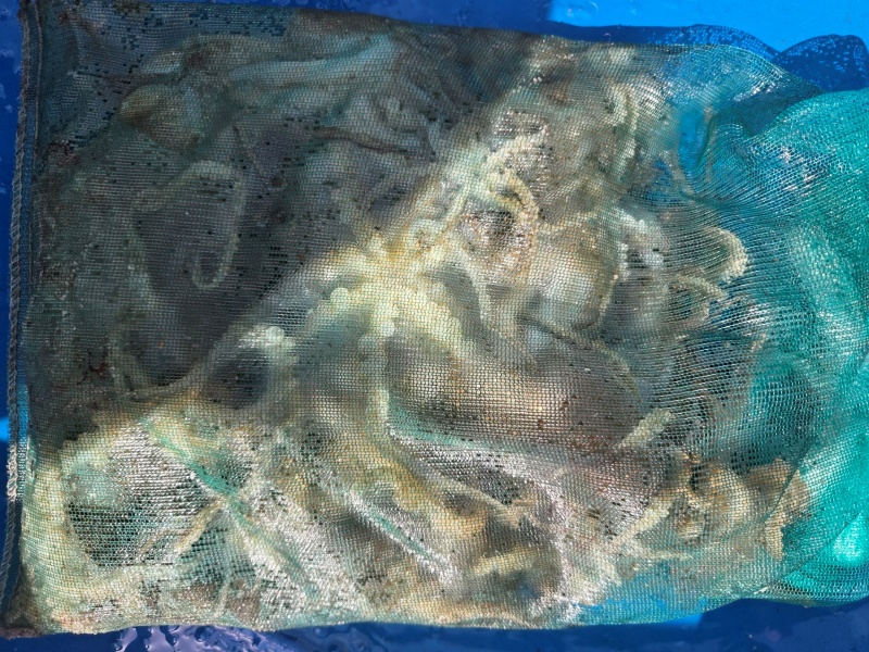 85ca051c92ad1781eb53d7ad42cedbba_1789992265_4128.jpeg