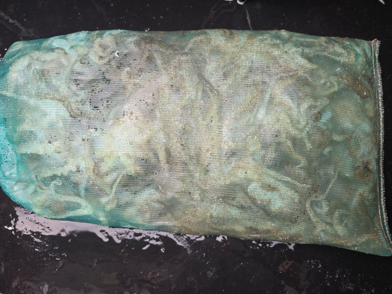 7c3736e20e0135d7b9fabd3f105b524a_1791111775_1788.jpeg