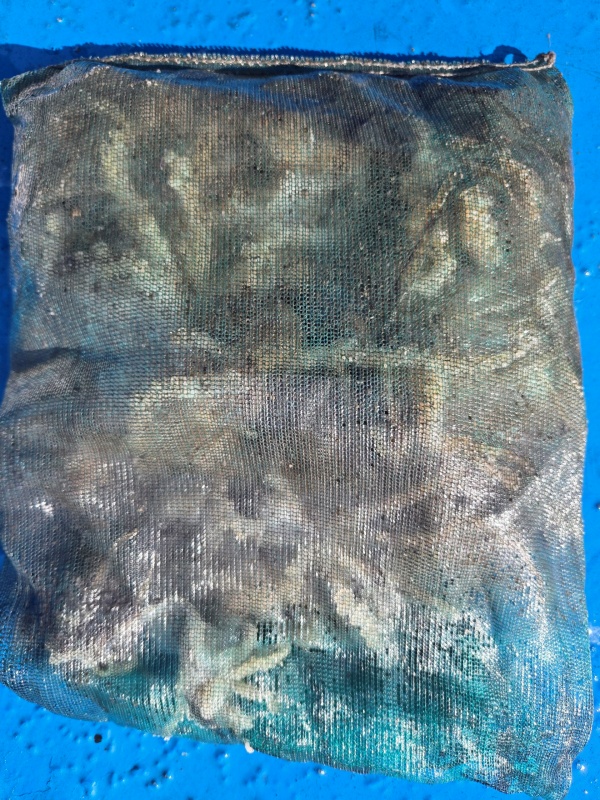 7c3736e20e0135d7b9fabd3f105b524a_1791111810_5843.jpeg