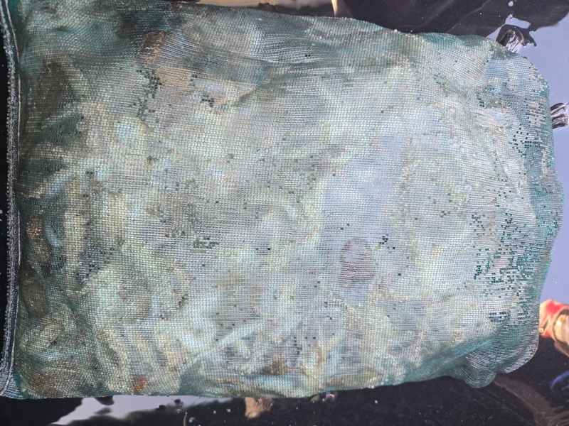 90139fde86d045a2674665277807724b_1793446566_2734.jpeg