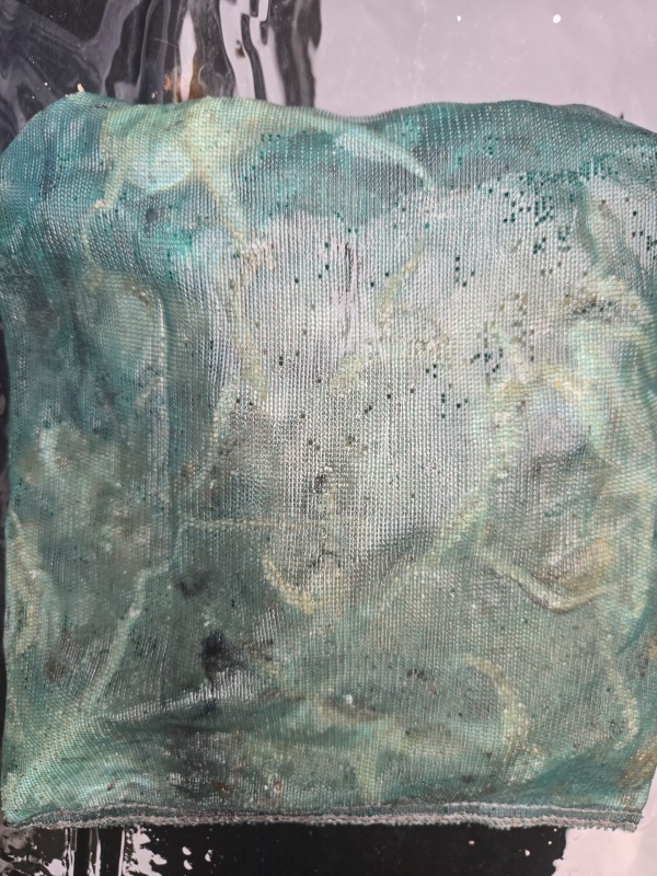 90139fde86d045a2674665277807724b_1793446612_5461.jpeg