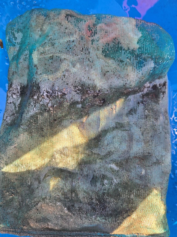 c1c13b410b848600f5b6c4b2b3b0c97e_1791630204_5067.jpeg